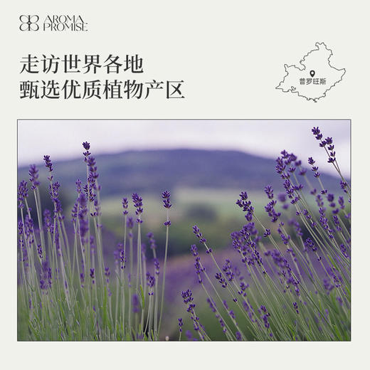 高地薰衣草精油 “梦境的守护者 商品图5