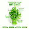暖壹有机空心菜 商品缩略图0