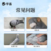 华畜鸽用电解质鸟用多维葡萄糖鹦鹉鸽子营养补钙新鸟用品画眉 商品缩略图1