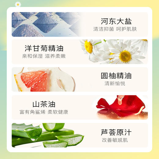 北动熊猫抱皂礼盒 商品图2