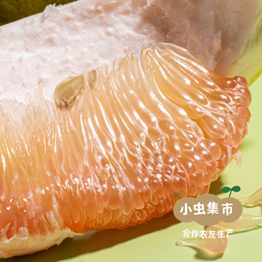 生态翡翠青柚 5斤/6斤 | 合作农友生产，产自广西巴马，生产者：玉为政、韩爱菊 *【公平贸易农人定价】 商品图9