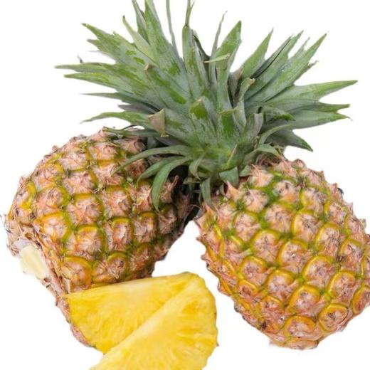 【分仓直发包邮】海南金钻凤梨4.5-5斤（2-3个） 商品图4