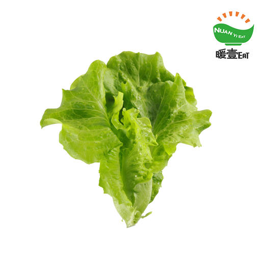 暖壹有机生菜 商品图0