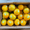 【特级】云冠橙特级5kg/件 商品缩略图1