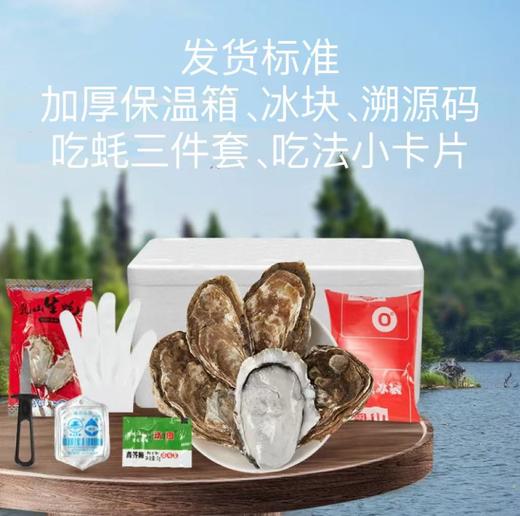 顺丰冷链包邮  正宗威海乳山生蚝 约4.5斤±90g 新鲜直供口感鲜美 乳山直发 鲜美到家 死蚝包赔 商品图3