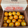 【优级】云冠橙优级5kg  /件 商品缩略图0