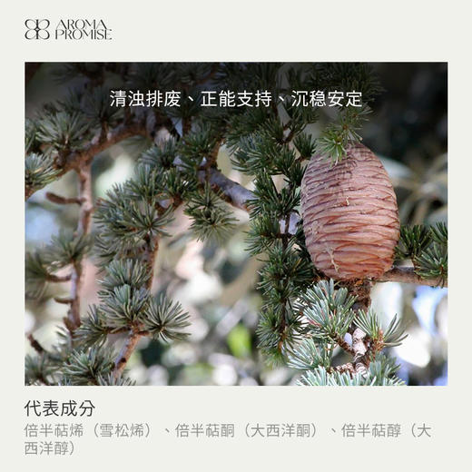 大西洋雪松精油10ml香甜持久的木香调 商品图1
