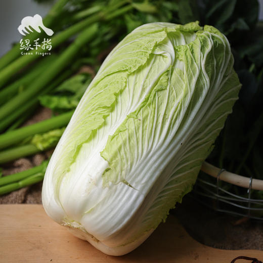 生态大娃娃菜（洛阳） | 合作生产* ecological soybean | Coproduction 商品图2