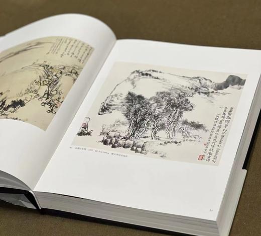 《潘天寿书画集》（纪念版），潘公凯 主编，布面精装，8 开，504页，仅印500册，浙江人民美术出版社2024年二印。定价680，售价544
  商品图6