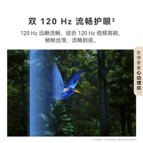 华为Vision智慧屏 4 SE 75英寸 New 4K超级投屏  nova 14投屏好搭档 平板电视机HDB5277P /家用电器 /大 家 电 /平板电视