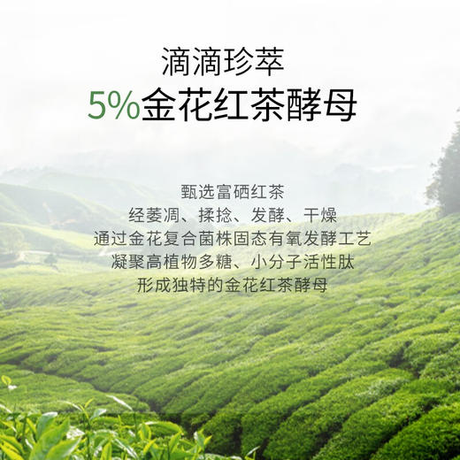 韩后  茶蕊沁润保湿喷雾120ml  HH-635 商品图2