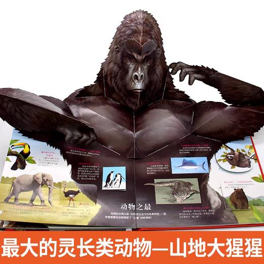 我们的中国+世界之最3d立体书揭秘立体翻翻书儿童科普百科绘本故事书3-6-小学生一年级硬壳8-10岁以上图书百科读物 商品图2