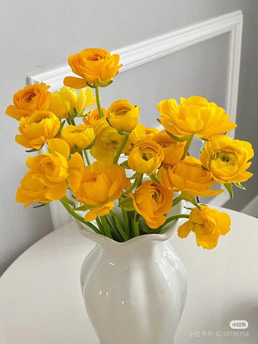 洋牡丹各色点开挑色 商品图4