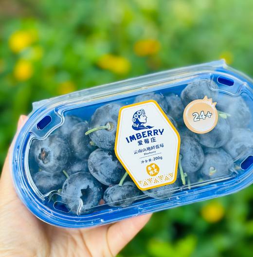 🫐蓝莓控的福音，24+巨无霸大果粒的“爱莓庄”云南山地鲜蓝莓到货啦滇峰高原，自然低卡，莓果留香，品种1543，新鲜带枝，脆甜，每一颗都饱满圆润 如果你也是蓝莓控，那么这款爱莓庄蓝莓，你一定不能错过 商品图0