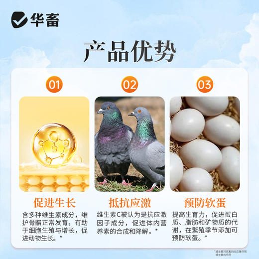 华畜鸽用电解质鸟用多维葡萄糖鹦鹉鸽子营养补钙新鸟用品画眉 商品图3