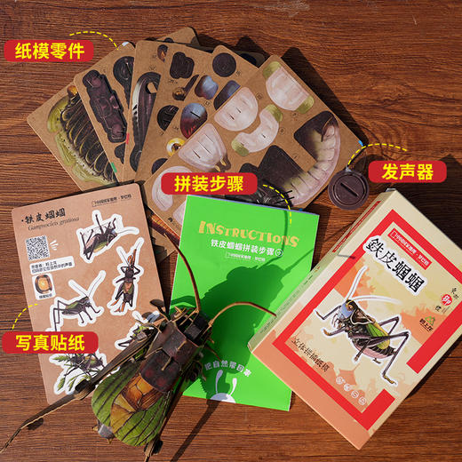密云东邵渠镇小岭村开发文创立体纸模型自己动手拼接铁皮蝈蝈  会叫的铁皮蝈蝈 商品图1
