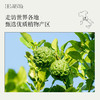 Aroma Promise 佛手柑精油10ml清新柑橘类果香 商品缩略图5