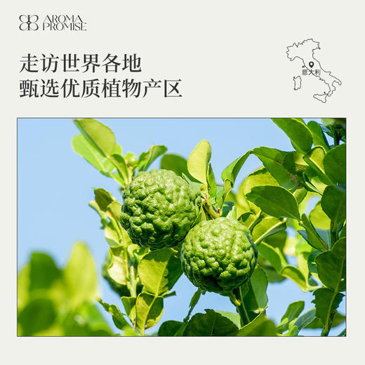 Aroma Promise 佛手柑精油10ml清新柑橘类果香 商品图5