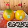 【特级】云冠橙特级5kg/件 商品缩略图2