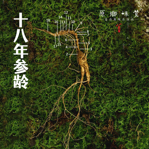 人参虫草粉（成都仓库-顺丰快递 ）| 40g/盒（2瓶装），来自吉林通化/西藏那曲,【原乡自产】 商品图2