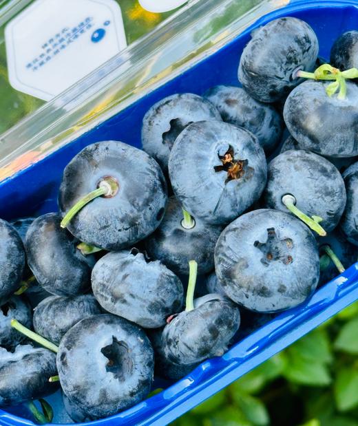 🫐蓝莓控的福音，24+巨无霸大果粒的“爱莓庄”云南山地鲜蓝莓到货啦滇峰高原，自然低卡，莓果留香，品种1543，新鲜带枝，脆甜，每一颗都饱满圆润 如果你也是蓝莓控，那么这款爱莓庄蓝莓，你一定不能错过 商品图4