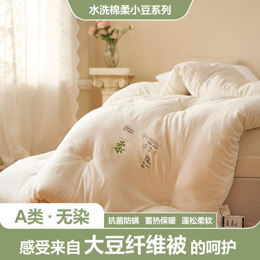 【水洗柔小豆被芯】柔柔大豆被芯纯色柔软被子简约保暖大豆被a类无染 商品图4