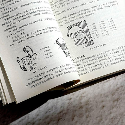 现代汉语 第三版 徐菁 徐越 现代汉语专业基础课教材 基本理论 商品图8