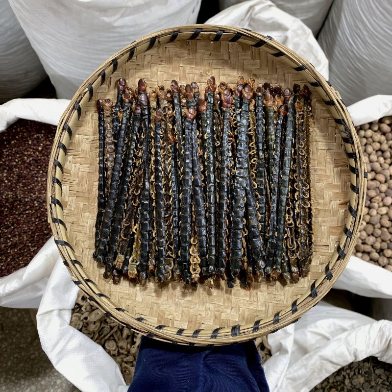 蜈蚣 不带竹签整条 16-17公分长