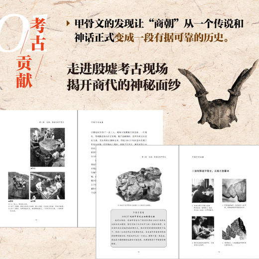甲骨文的故事：写给文博爱好者的甲骨文入门书 商品图1