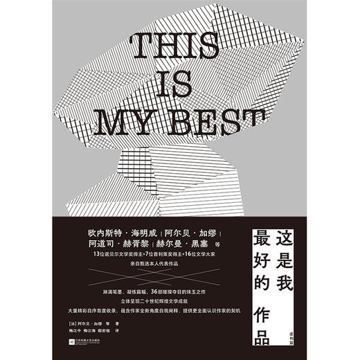这是我最好的作品：虚构篇 电影《好东西》同款外国文学小说 后浪正版 商品图4