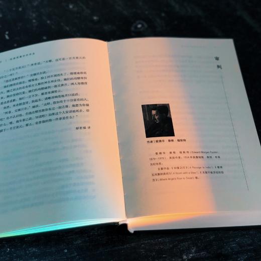 这是我最好的作品：虚构篇 电影《好东西》同款外国文学小说 后浪正版 商品图1