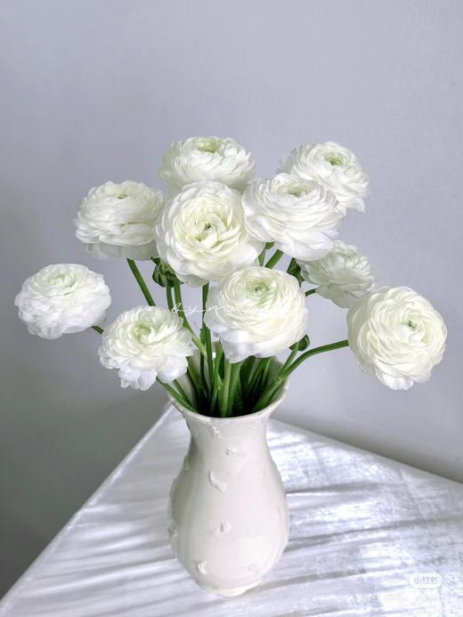 洋牡丹各色点开挑色 商品图7