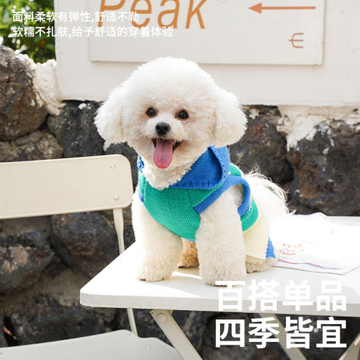 zeze条纹宠物连帽针织衫-B 商品图1