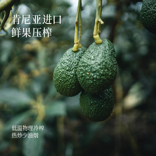 【囤油卡·热炒】0反牛油果油1L半年卡/年卡-会员专享 商品图3