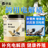 华畜鸽用电解质鸟用多维葡萄糖鹦鹉鸽子营养补钙新鸟用品画眉 商品缩略图8