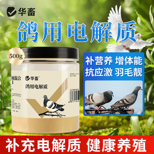 华畜鸽用电解质鸟用多维葡萄糖鹦鹉鸽子营养补钙新鸟用品画眉 商品图8