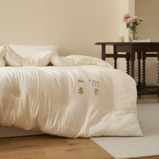 【水洗柔小豆被芯】柔柔大豆被芯纯色柔软被子简约保暖大豆被a类无染 商品图2