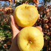 『维纳斯黄金苹果』带有标志性的锈斑，纯甜无酸，鲜脆清香 商品缩略图0