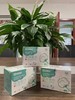 利君医用卫生巾 XHR 商品缩略图4
