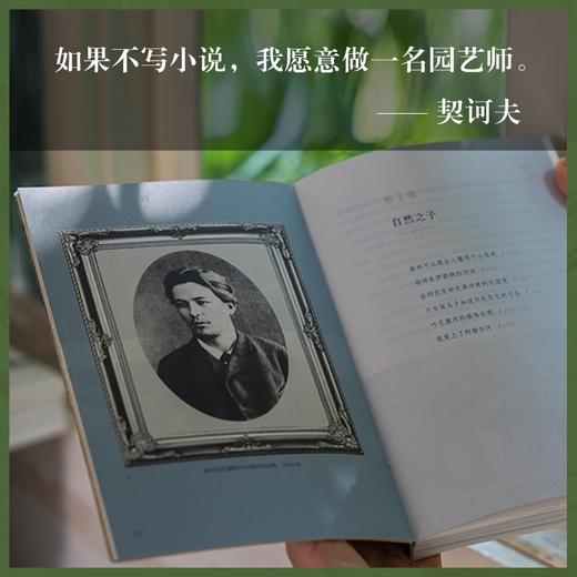 契诃夫的玫瑰 商品图7