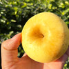 『维纳斯黄金苹果』带有标志性的锈斑，纯甜无酸，鲜脆清香 商品缩略图4
