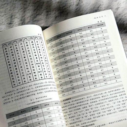 现代汉语 第三版 徐菁 徐越 现代汉语专业基础课教材 基本理论 商品图10