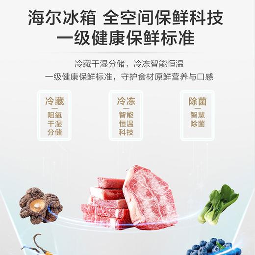 【70cm宽594mm超薄零嵌】海尔413升法式多门全空间保鲜EPP超净三档变温小户型占地小家用冰箱 413升70cm宽超薄零嵌+全空间保鲜+EPP超净 商品图1