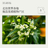 橙花精油2ml花香中带着柚香的气息 缓解皮肤问题，帮助睡眠 商品缩略图5