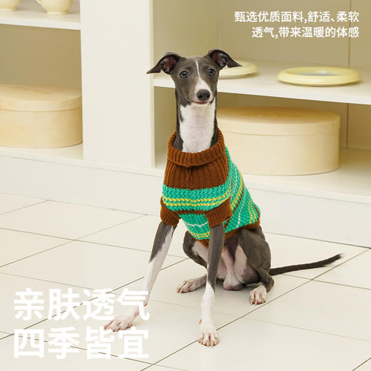 zeze复古条纹宠物针织衫-B 商品图3