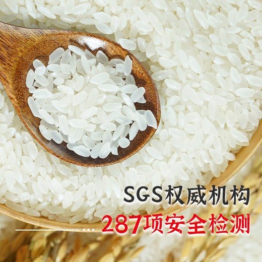 【陇间柒月】八月富硒大米5kg 商品图2