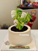 #热植人的生日蛋糕 #热爱绿植的你 #龟背竹蛋糕 #绿植蛋糕 忌廉蛋糕【半翻糖蛋糕需提前2天预订】（默认自提，收费配送请联系客服） 商品缩略图0