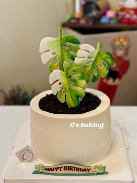 #热植人的生日蛋糕 #热爱绿植的你 #龟背竹蛋糕 #绿植蛋糕 忌廉蛋糕【半翻糖蛋糕需提前2天预订】（默认自提，收费配送请联系客服）