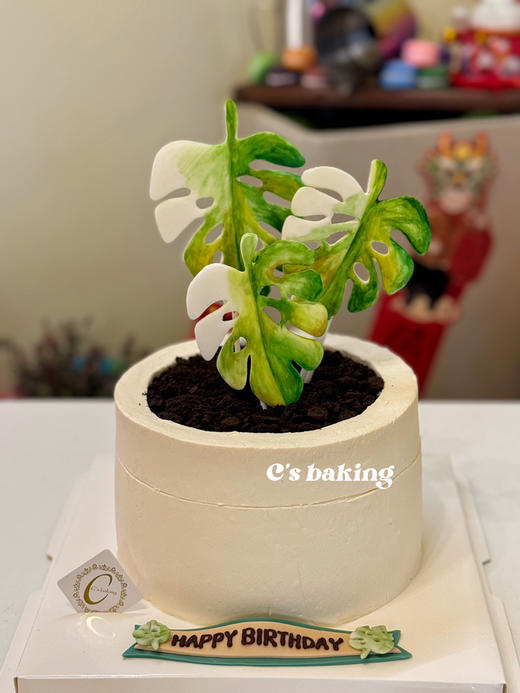 #热植人的生日蛋糕 #热爱绿植的你 #龟背竹蛋糕 #绿植蛋糕 忌廉蛋糕【半翻糖蛋糕需提前2天预订】（默认自提，收费配送请联系客服） 商品图0