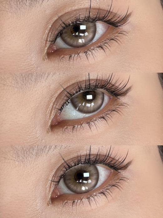 Annieone月抛-星野棕 商品图8